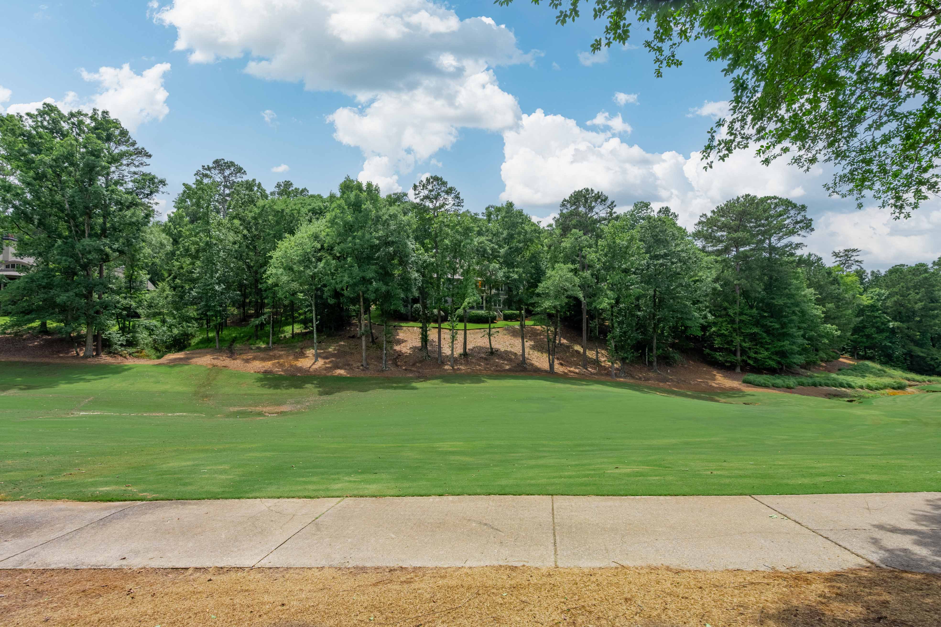 1101 Scull Shoals Drive image 21